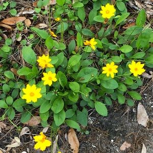 Meet your Posher, Debby